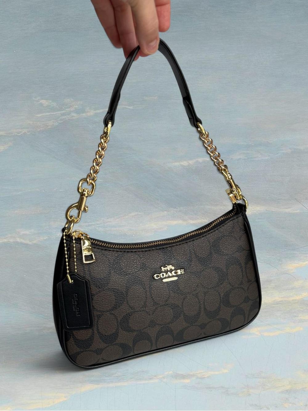 Coach Teri Signature Canvas Gold/Walnut/Black